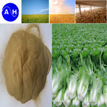Venta caliente libre de aminoácidos de Chloridion Pure Vegetable Source Amino Acid